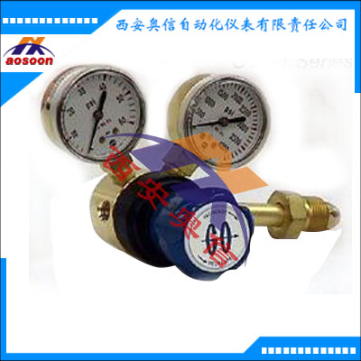 美国GO减压阀-美国GO背压阀-美国GO中国销售:美国GO减压阀PR1-1C11Q5G111进口阀门销售